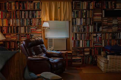 furniture brown recliner sofa chair among books bookcase